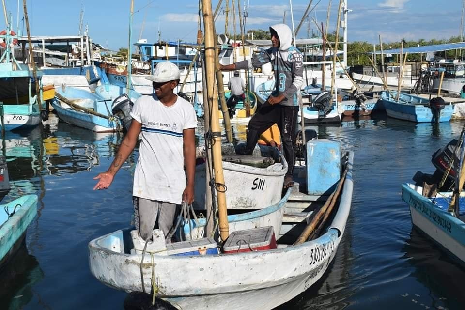 ESPERAN GANANCIAS TRAS AMPLIAR LA TEMPORADA DE CAPTURA DE PULPO