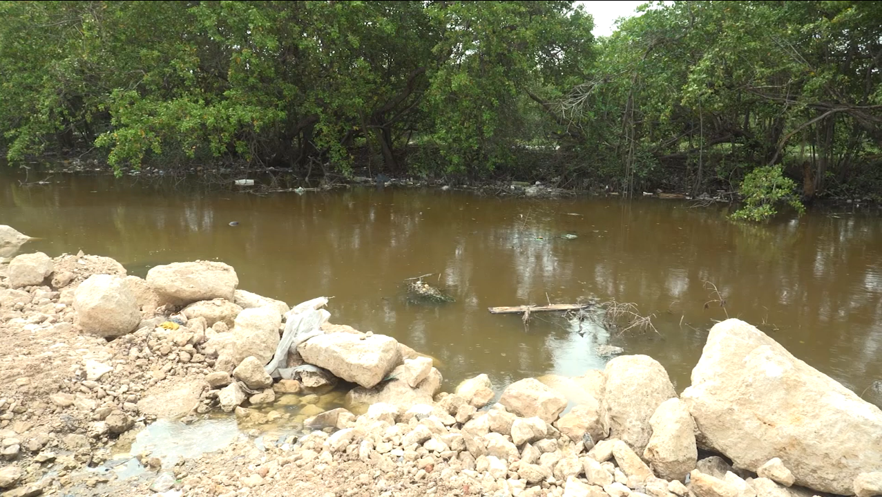 LLUVIAS CAUSAN INUNDACIONES EN HOGARES DEL PUERTO DE PROGRESO