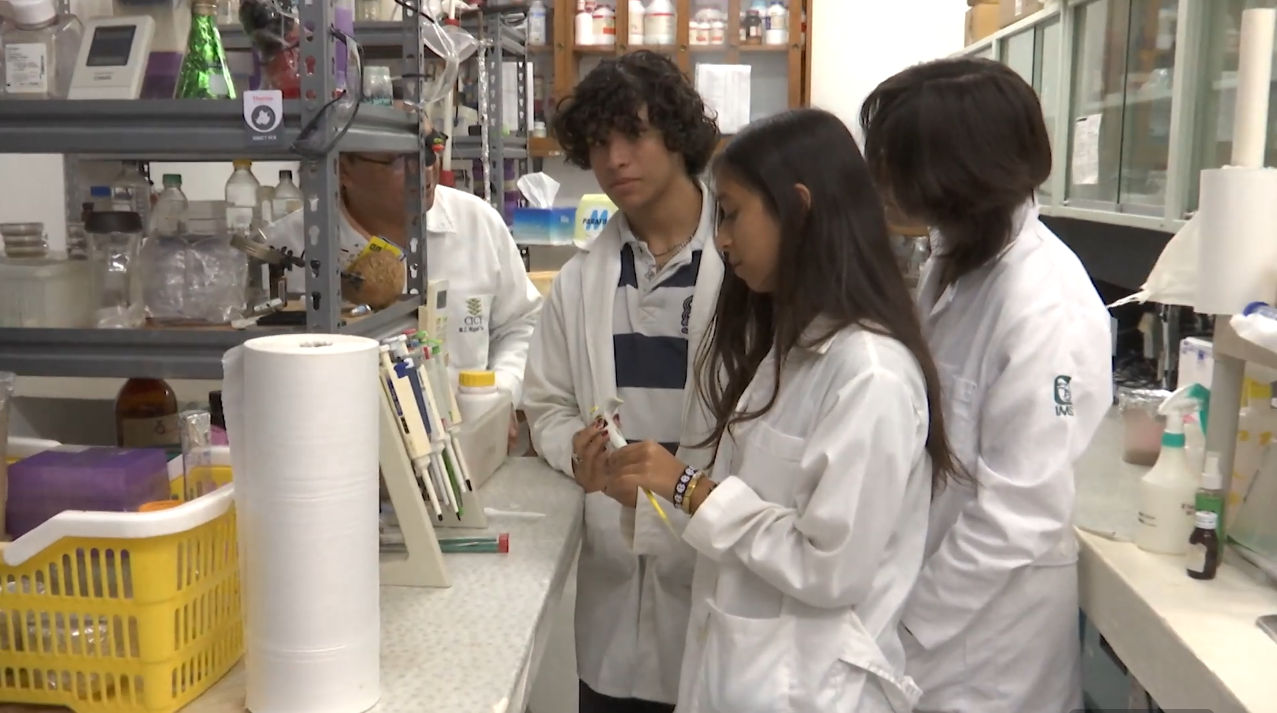 ESTUDIANTES DEL CURSO DE VERANO DEL CICY EXPONDRAN SUS PROYECTOS