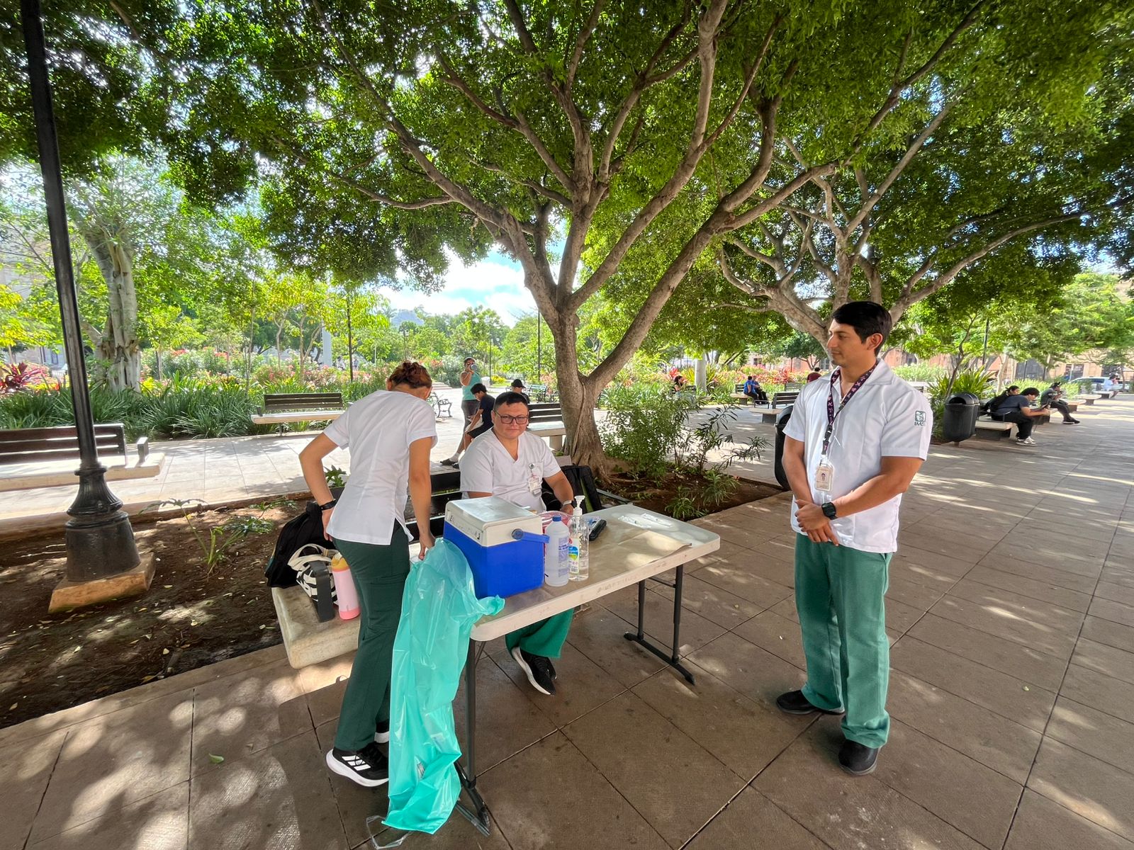 INVITA EL IMSS A COMPLETAR SU CARTILLA DE VACUNACION