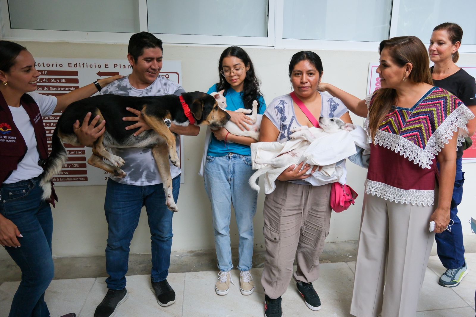 VAN POR 3 MIL 500 ESTERILIZACIONES.