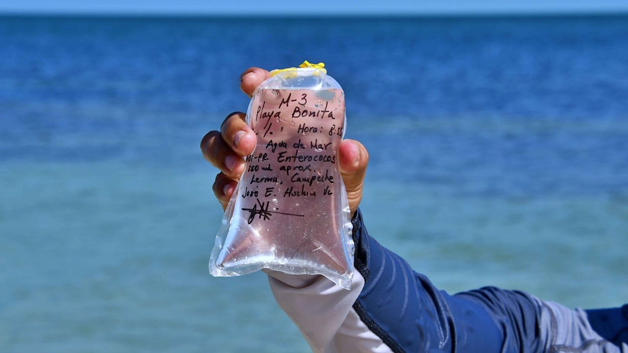 MONITOREAN LA CALIDAD DEL AGUA DE LAS PLAYAS DE CAMPECHE