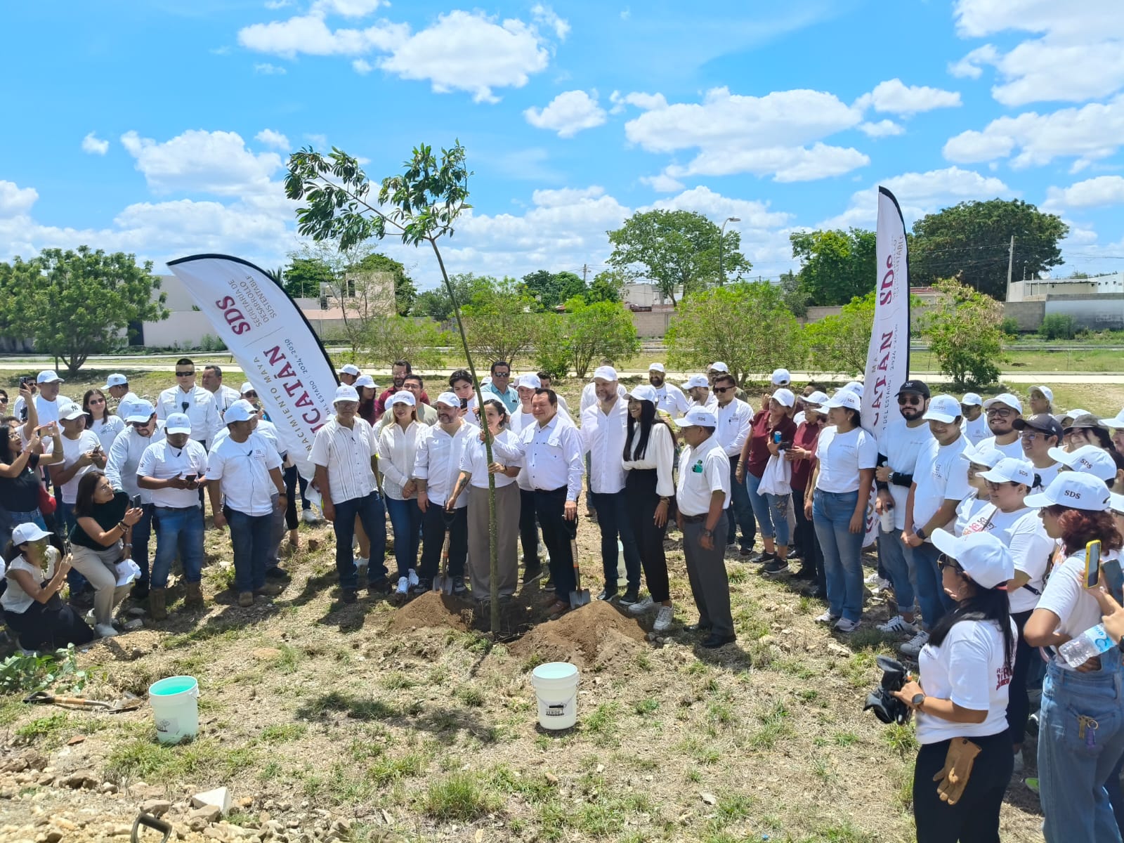 BUSCAN QUE YUCATAN LLEGUE AL MILLON 300 MIL ARBOLES PLANTADOS EN 6 AÑOS
