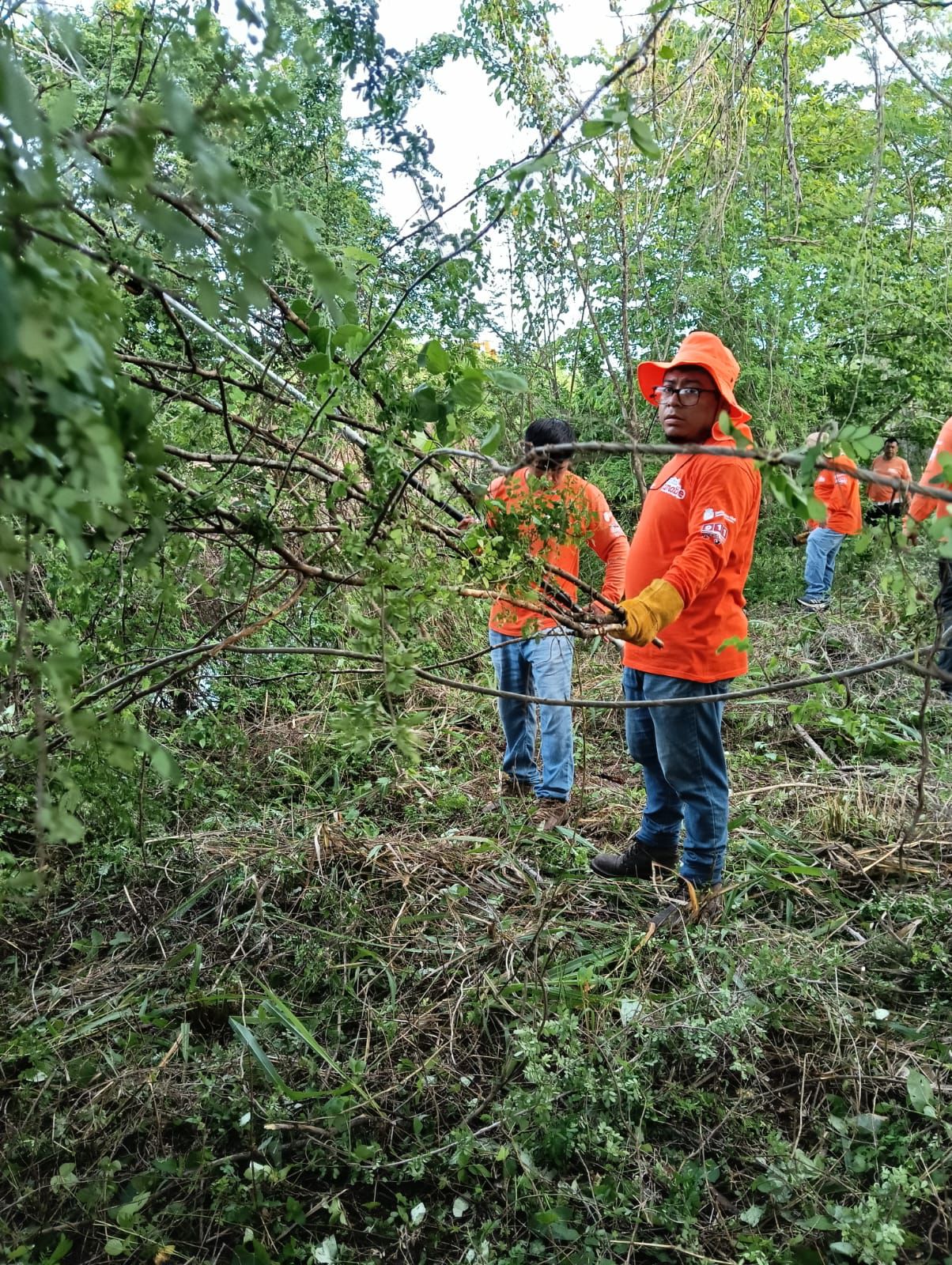 Alcaldía de Campeche, mantiene activo el Plan de Lluvias 2025