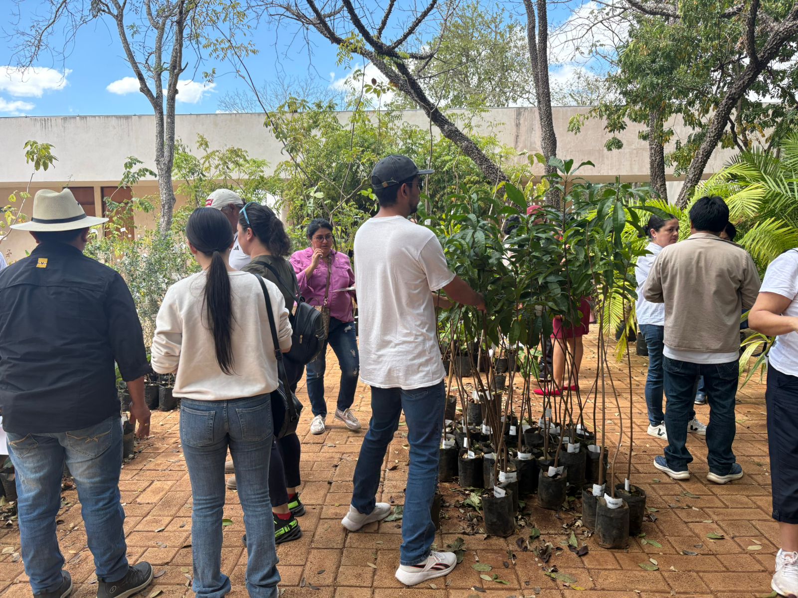 SE REALIZO LA VENTA ANUAL DE PLANTAS DEL CICY