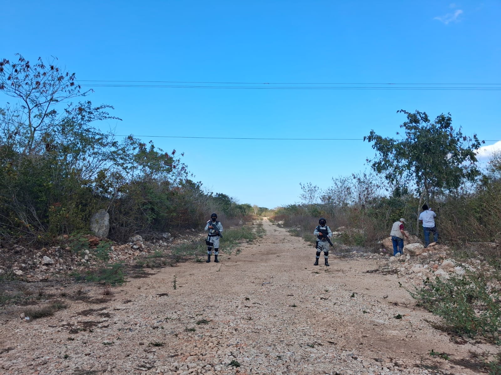 YUCATAN REGISTRA FOCOS ROJOS DE TALA  ILEGAL