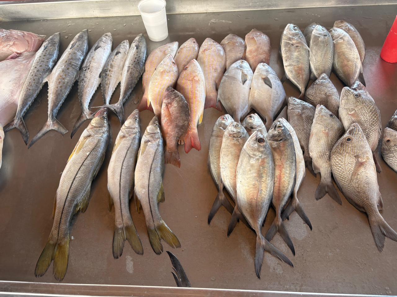 INCREMENTA VENTA DE MARISCOS POR CUARESMA