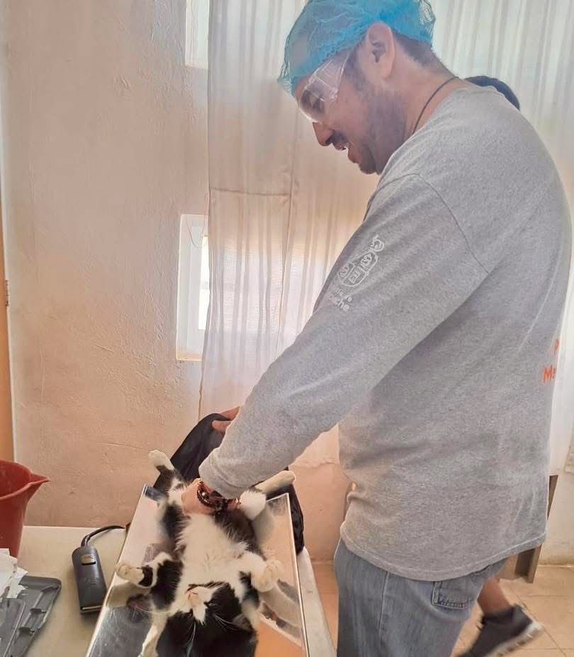 ESTERILIZAN 170 ANIMALES EN LERMA Y HAMPOLOL CON PROGRAMA ITINERANTE