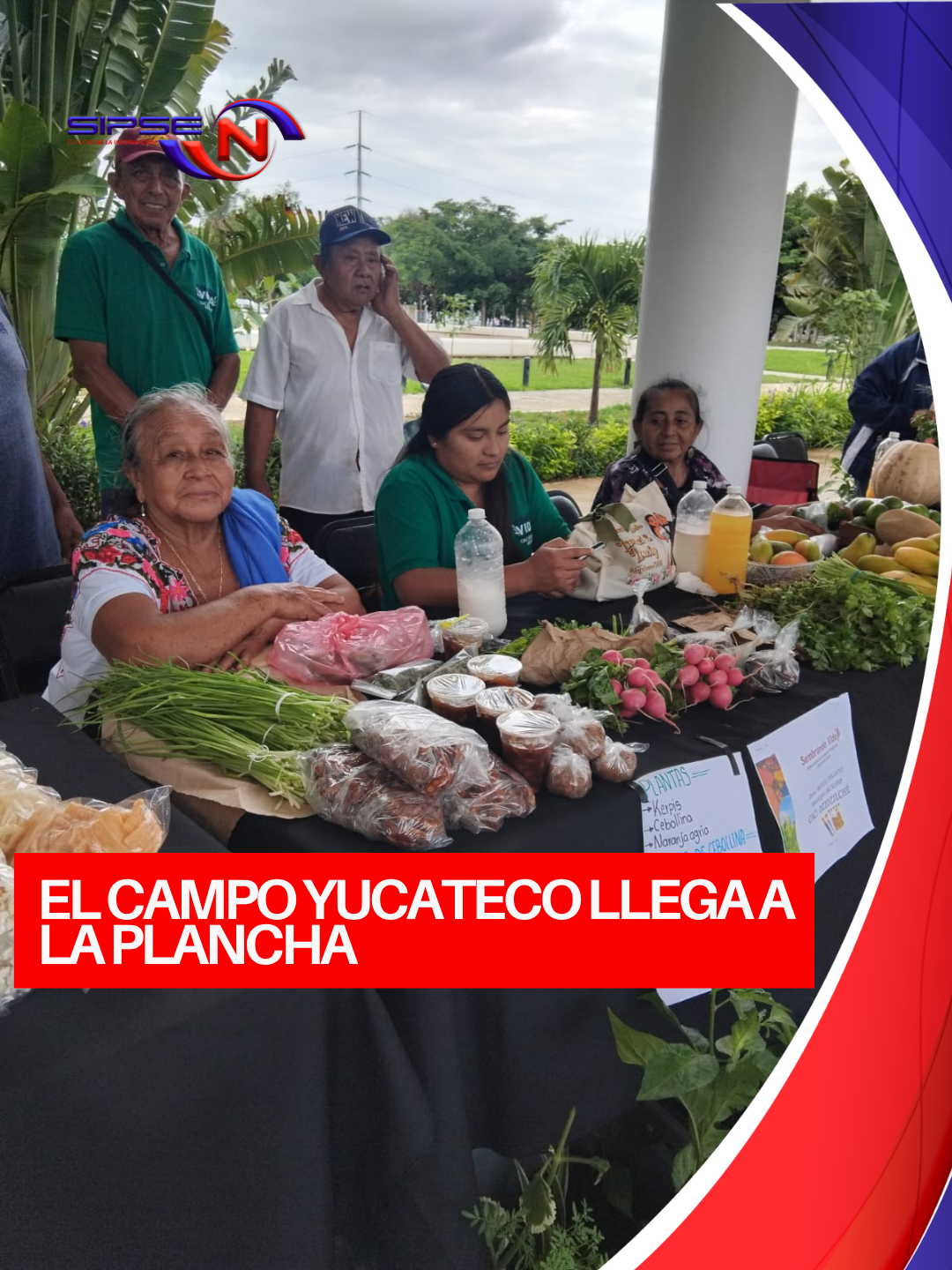 EMPRESA DE MONTERREY ADQUIRIRAN LIMON PERSA DIRECTO DE CITRICULTORES YUCATECOS