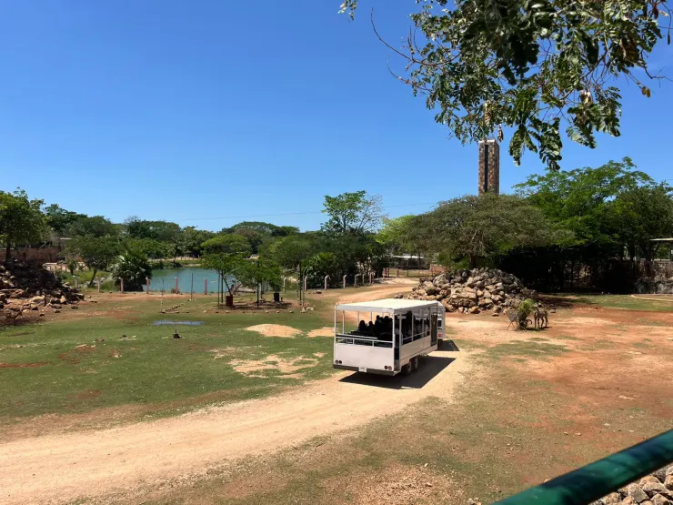 FAMILIAS CELEBRARON EN EL ZOOLOGICO ANIMAYA UN ANIVERSARIO MAS