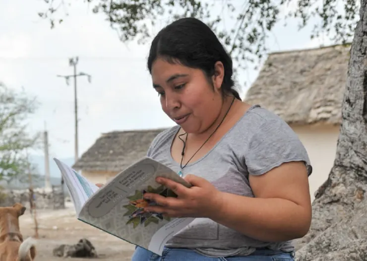 CONVOCAN A JORNADA DE ALFABETIZACIÓN PARA JÓVENES Y ADULTOS EN YUCATÁN