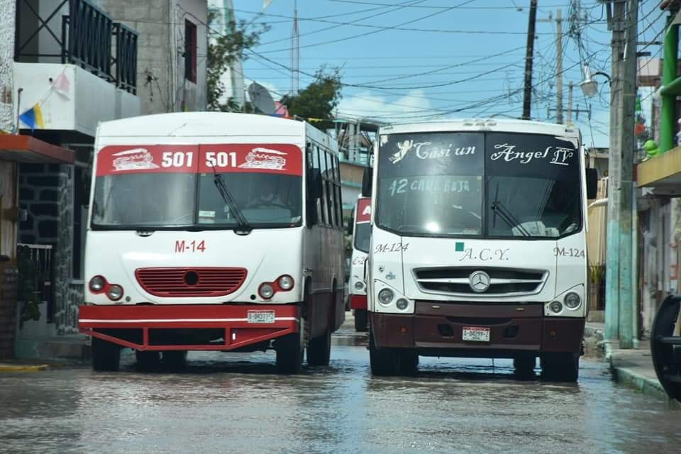 VAN CONTRA LA CONTAMINACIÓN QUE GENERA EL TRANSPORTE PÚBLICO