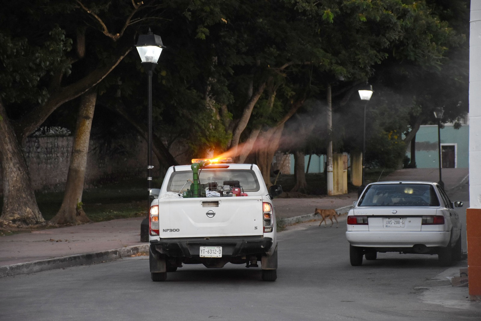 CONTINÚAN LAS ACCIONES DE FUMIGACIÓN CONTRA EL DENGUE, ZIKA Y CHIKUNGUNYA 
