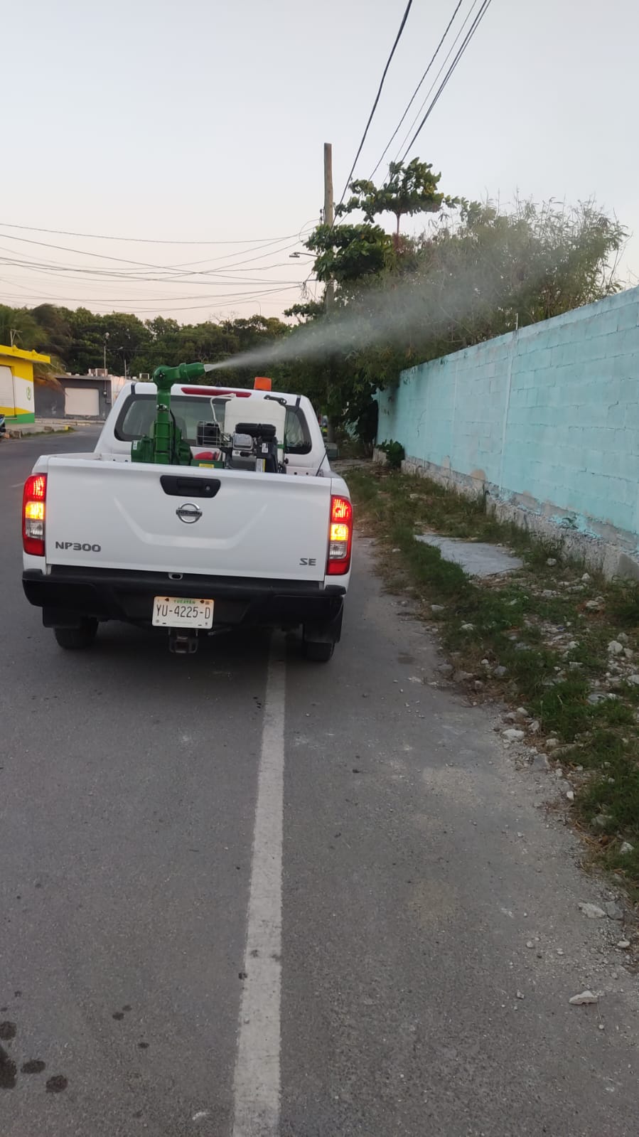 ANUNCIAN ACCIONES DE FUMIGACIÓN