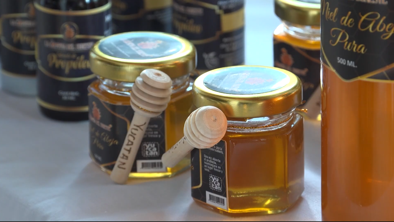 HOY SE CONMEMORA EL DIA MUNDIAL DE LA ABEJA