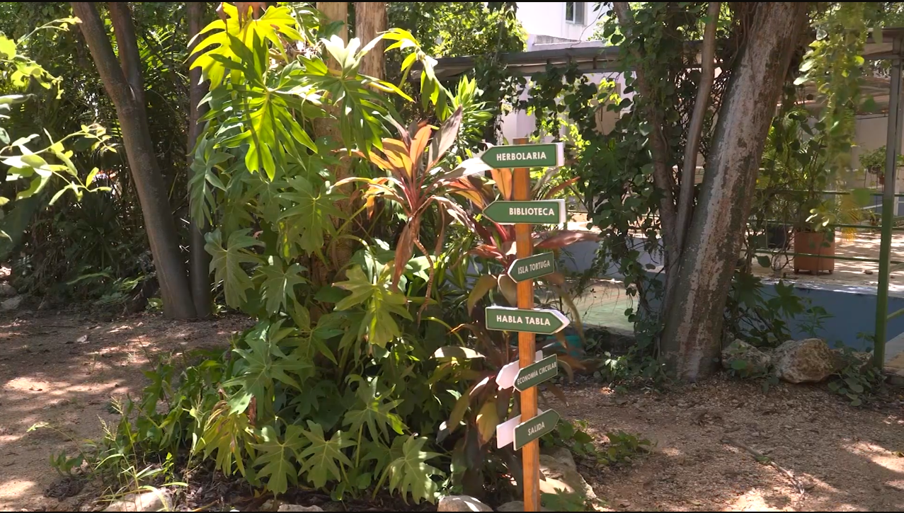 EL JARDIN BOTANICO ROGER ORELLANA RESGUARDA PARTE DE LA HISTORIA DE LA ANTIGUA ICHCAANZIHO 