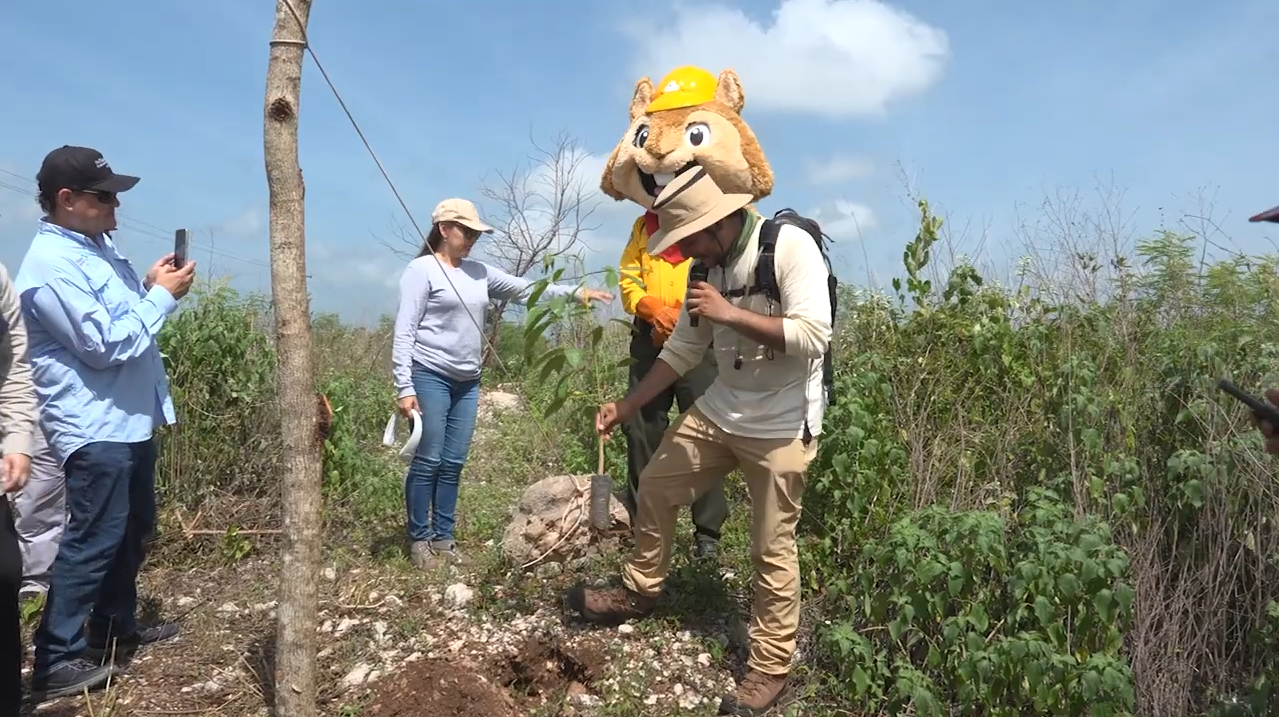 LA CONAFOR CELEBRA 25 AÑOS SEMBRANDO ARBOLES