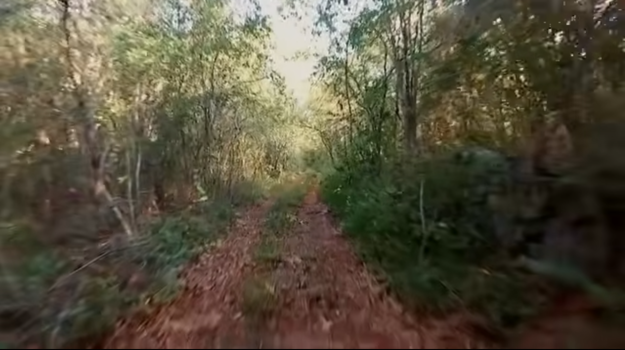 LA RESERVA ECOLÓGICA CUXTAL ENFRENTA RETOS PARA CONSERVAR ESTE TERRITORIO