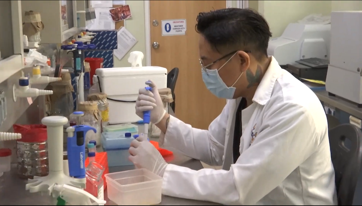 CIENTIFICOS DE LA UADY ESTUDIARON ADN DEL VIRUS DEL CHINKUNGUYA