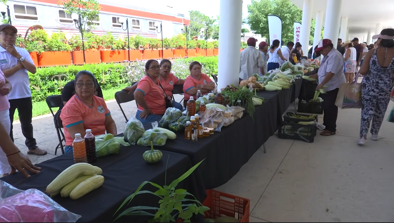 MERCADO RENACER ACERCA EL CAMPO YUCATECO A LAS FAMILIAS
