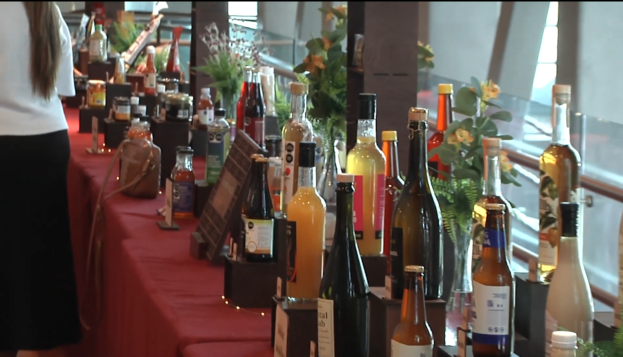 PRESENTA PROYECTOS FINALES DEL PROGRAMA TRANSFORMARTE