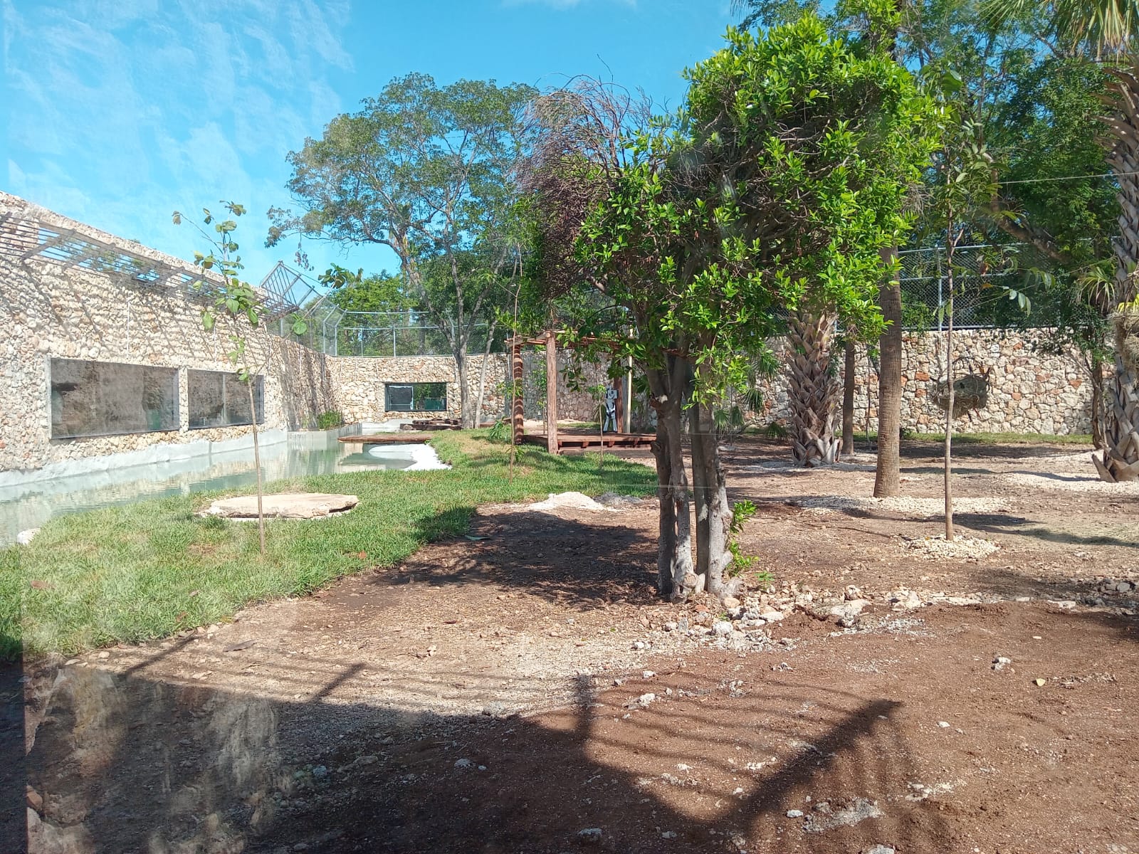 NUEVO HOGAR PARA LOS REYES DE LA SELVA EN ANIMAYA