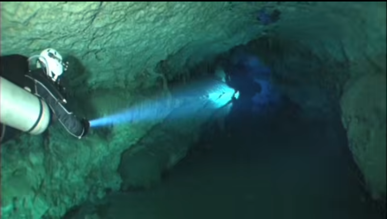 YUCATECOS CONOCEN SOBRE LA BIODIVERSIDAD DE LAS KARST 