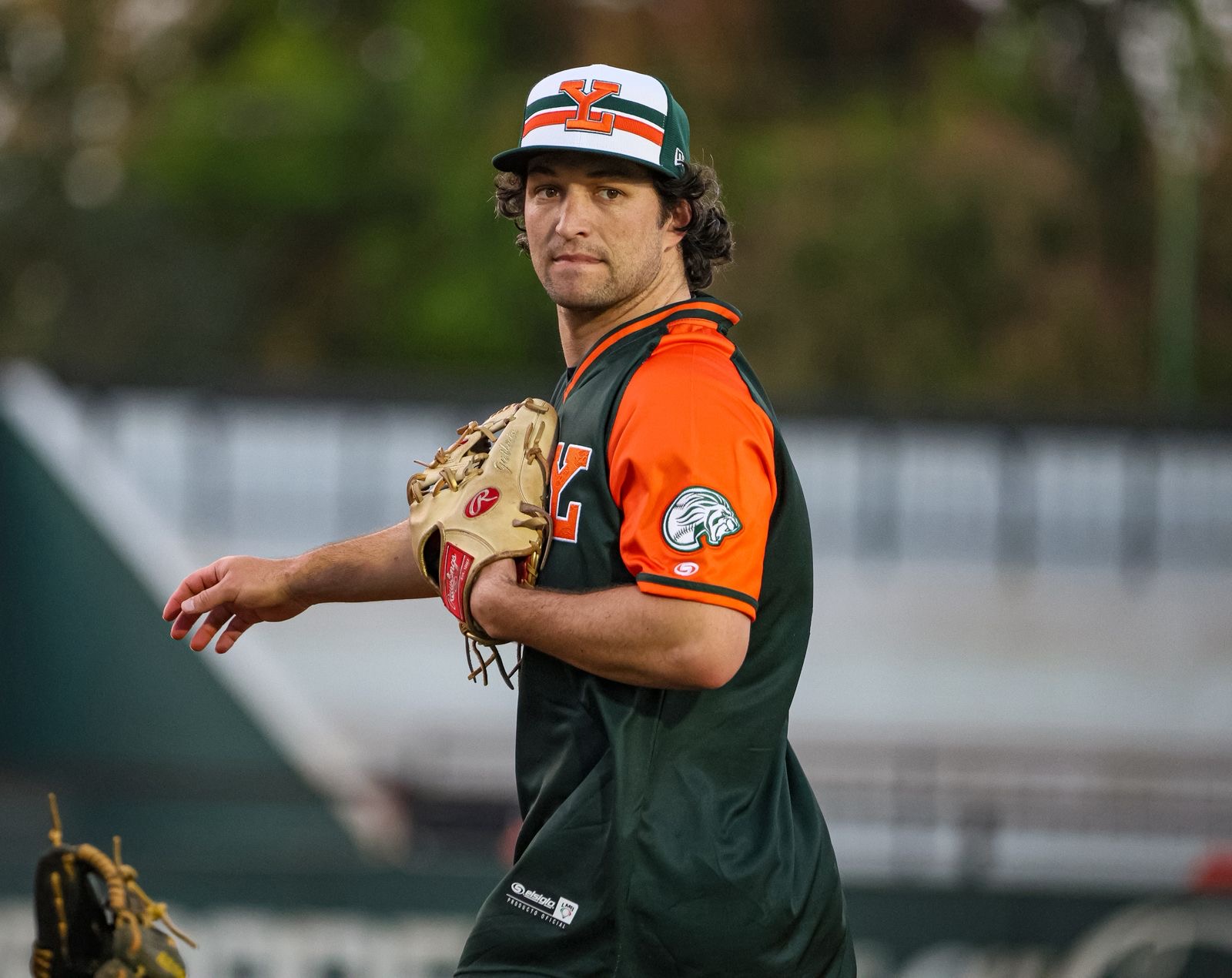 Leones afinando detalles