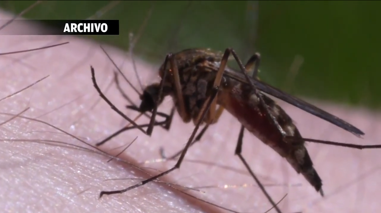 YUCATAN ENTREGÓ A CUBA HERRAMIENTAS PARA COMBATIR EL DENGUE