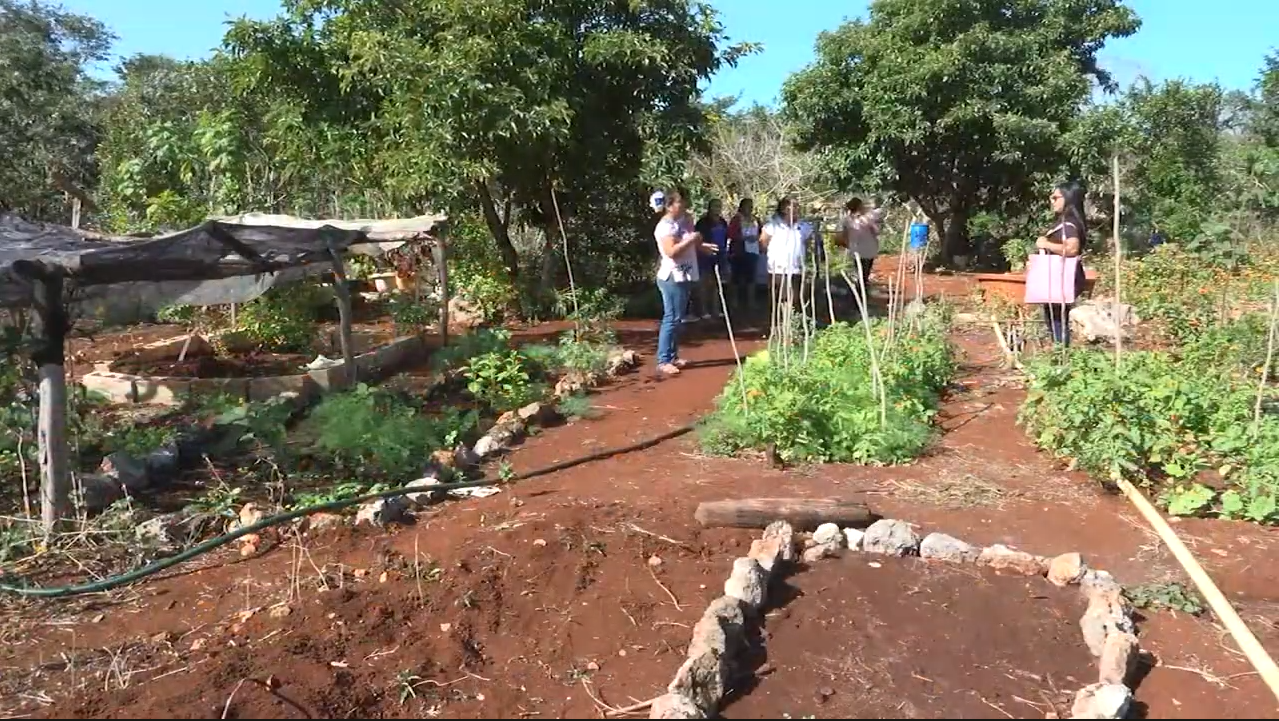 A TRAVES DE SU SOLAR MAYA, UN GRUPO DE MUJERES BRINDAN EXPERIENCIAS A LOS VISITANTES 